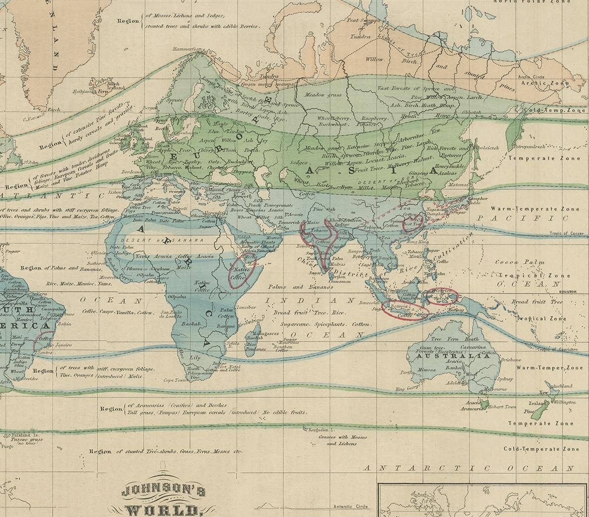 Antique Map of the World Showing the Distribution of Plants and Minerals, 1872