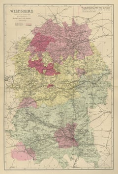 Antique Map of Wiltshire with Salisbury and its Parliamentary Divisions, 1885