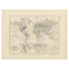 Carte ancienne montrant la distribution des plantes par Johnston '1850'