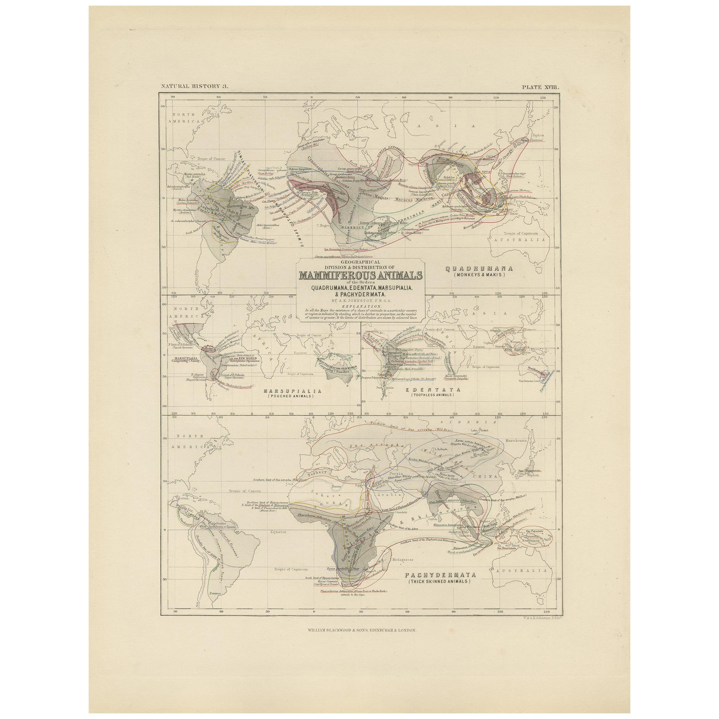 Carte ancienne montrant la division et la distribution des mammouths par Johnston '1850'