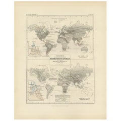 Antique Map Showing the Division and Distribution of Mammals by Johnston '1850'