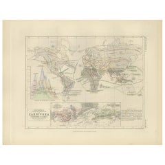 Mapa antiguo que muestra la división y distribución de los carnívoros por Johnston '1850
