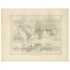 Antique Map Showing the Division & Distribution of Carnivora by Johnston '1850'