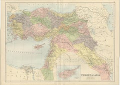 Antique Map Turkey in Asia, Ottoman Empire Anatolia Syria Iraq Black, 1884