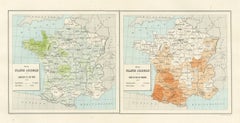 Cartes anciennes de la France, sarrasin et maïs, Exposition universelle de Vienne, 1873