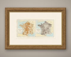 Antique Maps of France, Sheep and Pig Stock, Vienna Exposition, 1873