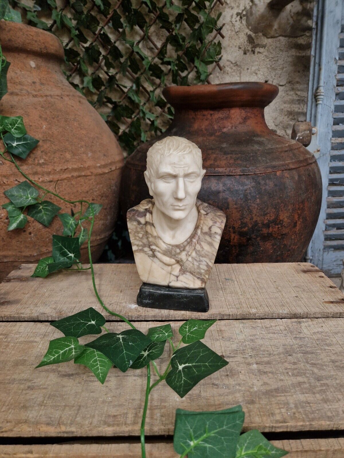 We are delighted to offer for sale this Marble Bust of Julius Caesar

The sculpture is carved from white and brown veined marble


Circa 1950
Hand carved

French/Italian Origin

Heavy


Dimensions - 26 H x 16 x 11 cm

Listing Description

All of our