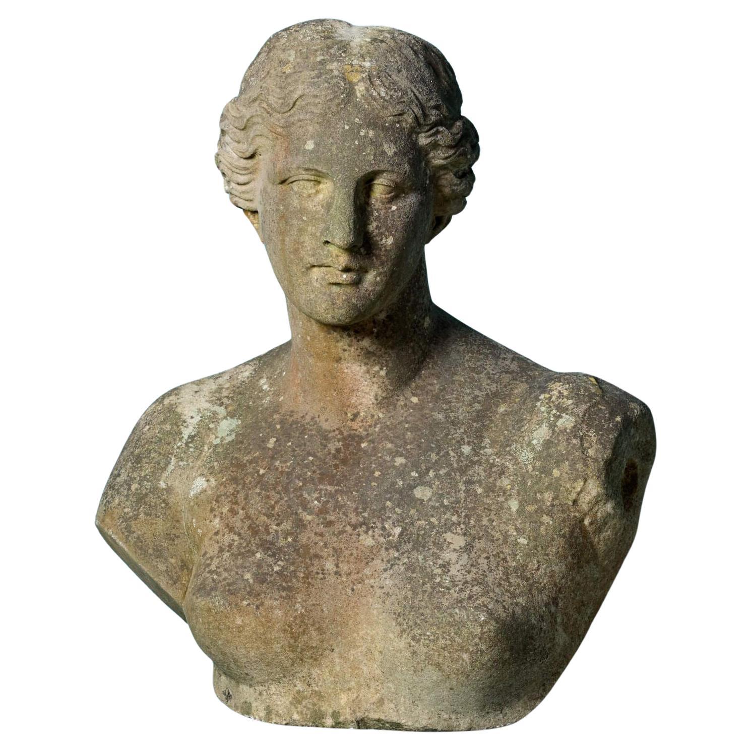 Buste de Vénus antique en vente