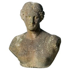 Busto antiguo de mármol de Venus