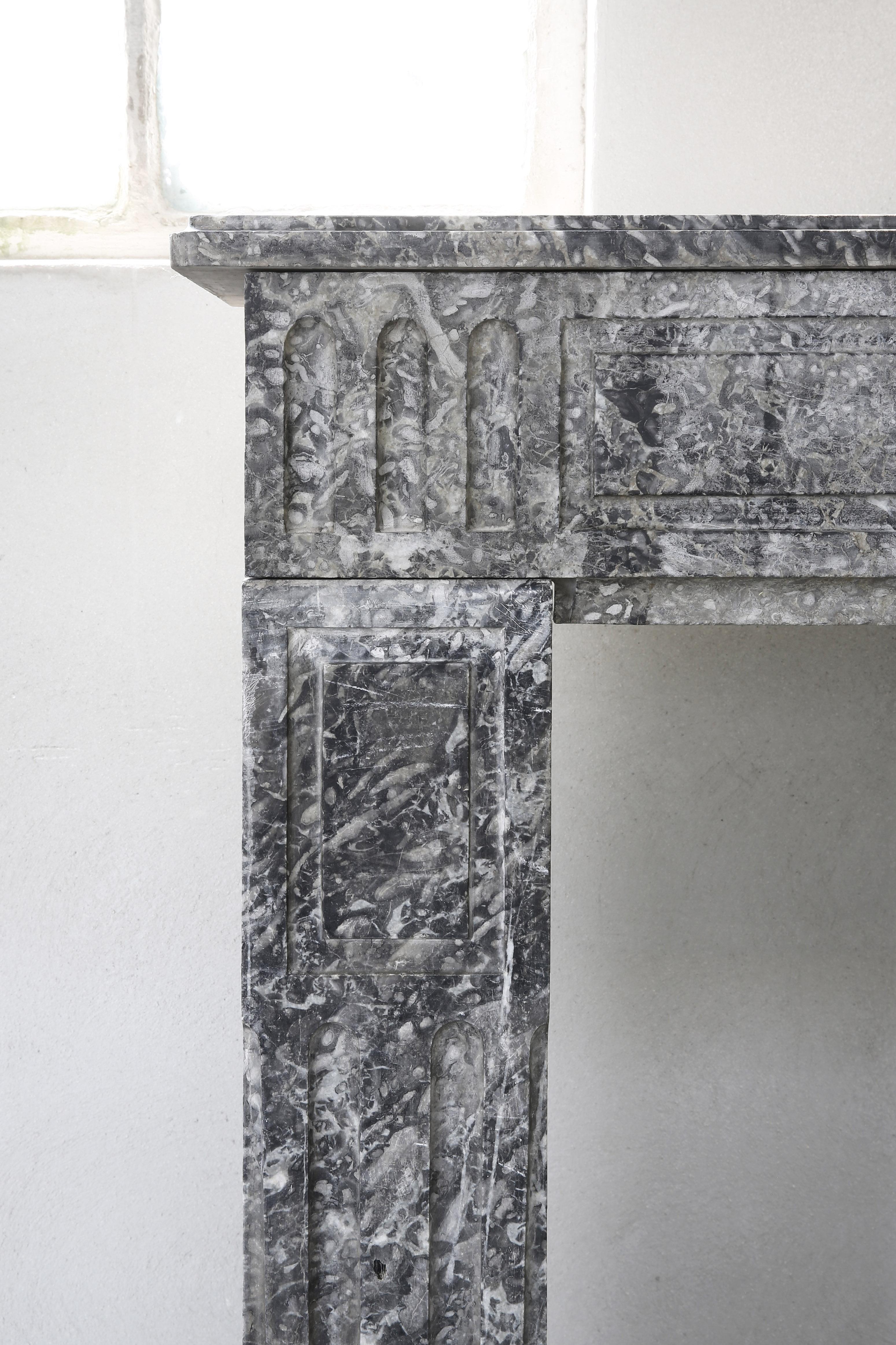 Antique Marble Fireplace from the 19th Century, Style of Louis XVI 1