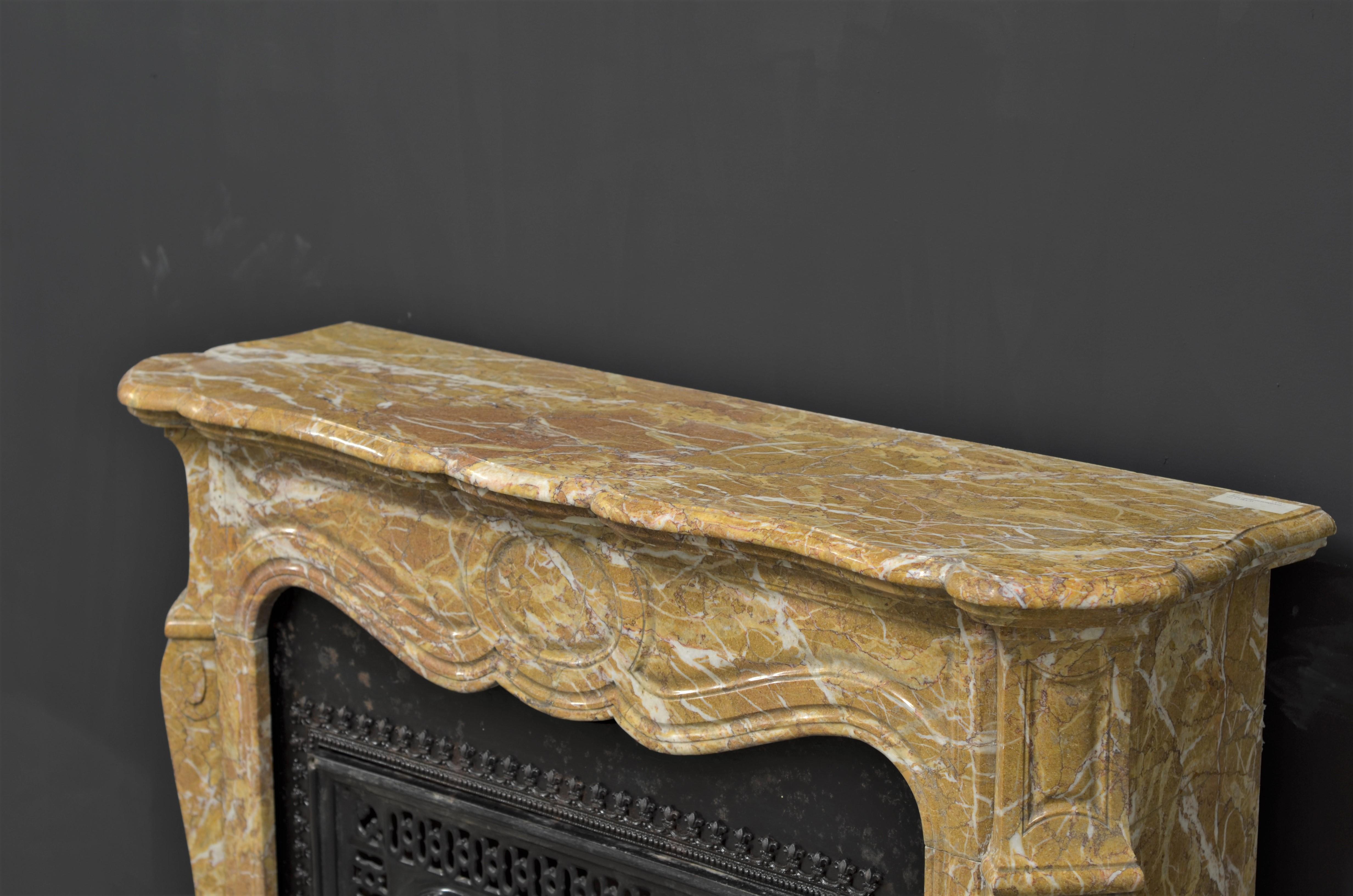 Antique Marble Fireplace with Cast Iron Stove For Sale 2