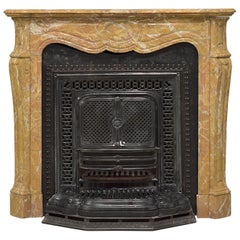 Antique Marble Fireplace with Cast Iron Stove