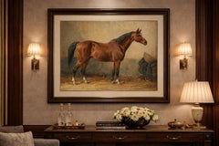 Antico ritratto di cavallo del Meclemburgo 1898, litografia equestre tedesca Warmblood