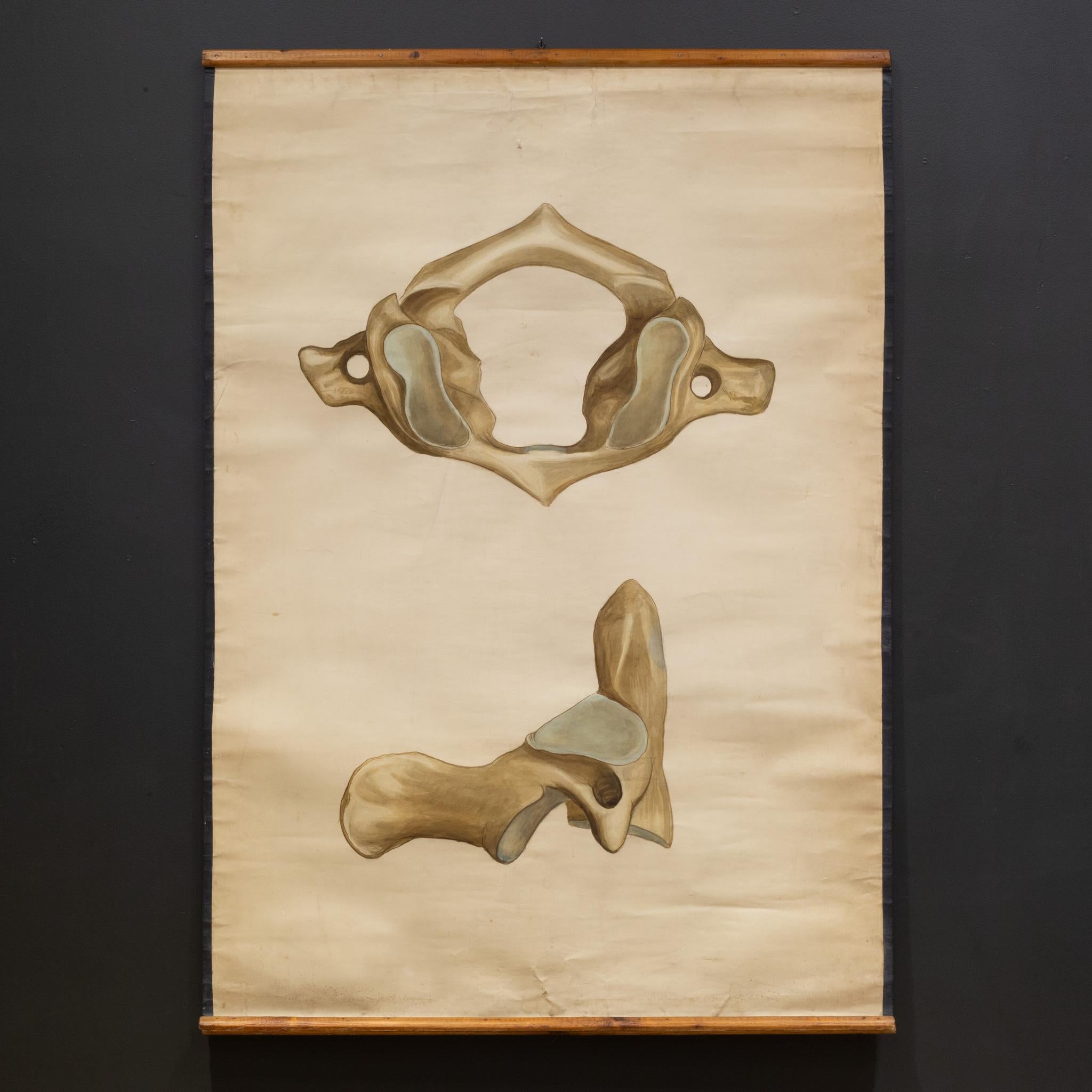 À PROPOS DE

Un rouleau antique d'un pied utilisé dans une salle d'enseignement médical monté sur des chevilles épaisses.  Écriture originale au dos.

    CRÉATEUR Rys. J. Fuschowis.
    A.I.C. c.1920-1940.
    MATÉRIAUX ET TECHNIQUES Toile, bois.
 