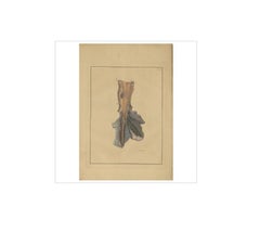 Antique Medical Print of Lungs ‘Tab. 1’ by F.D. Reisseisen, 1822