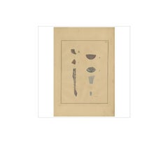 Antique Medical Print of Lungs 'Tab. 2' by F.D. Reisseisen, 1822