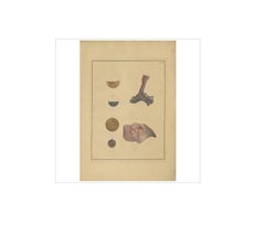 Antique Medical Print of Lungs 'Tab.4' by F.D. Reisseisen, 1822