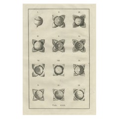 Antiker antiker medizinischer Druck der Anatomie des Augens, 1798