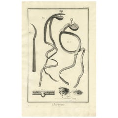Antique Medical Print ‘Pl. XXII’ by D. Diderot, circa 1760