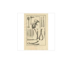 Antique Medical Print 'Pl. XXV' by D. Diderot, circa 1760