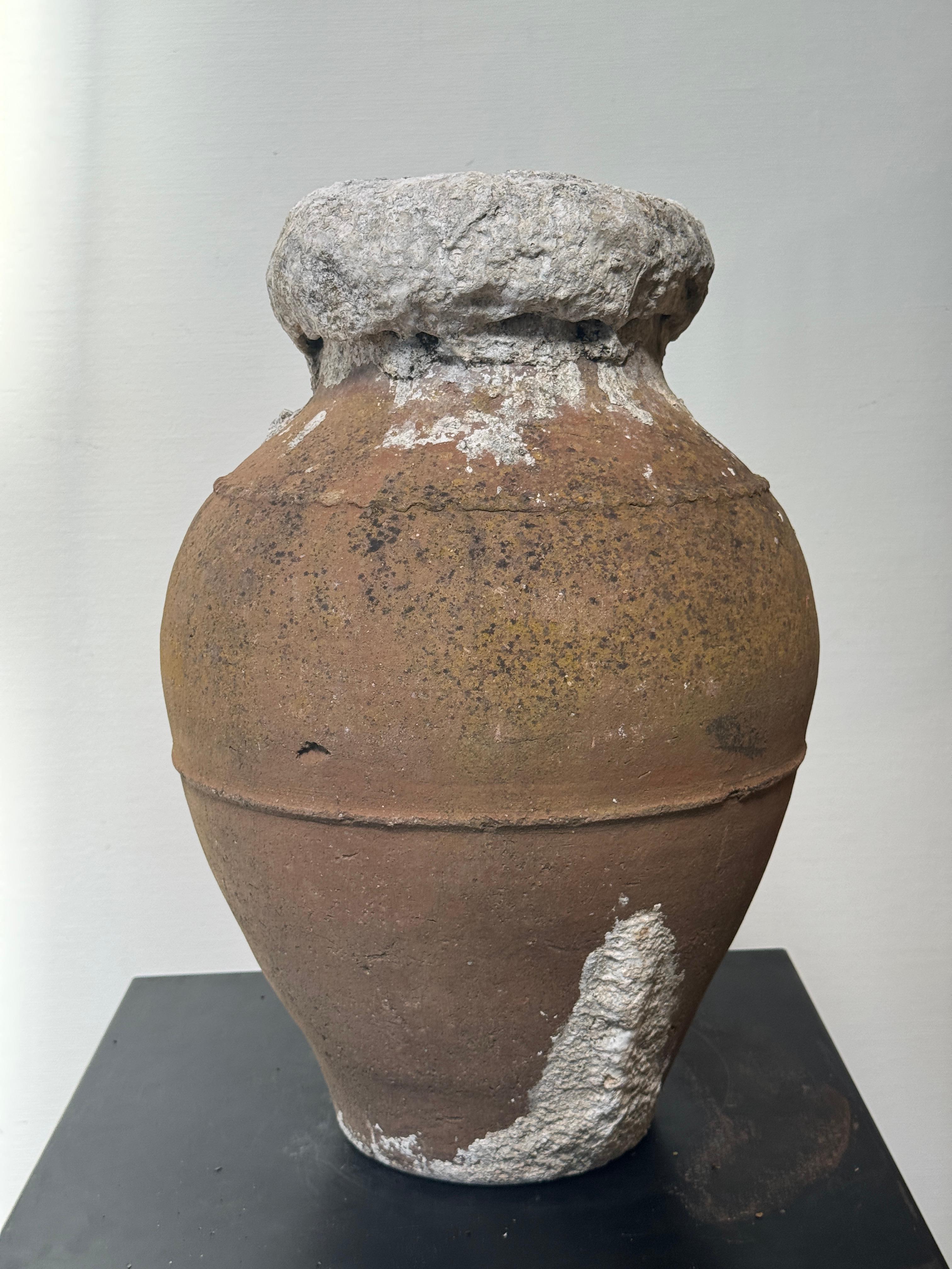 Antique Mediterranean Amphora-Style Storage Pot with Calcified Patina For Sale 4
