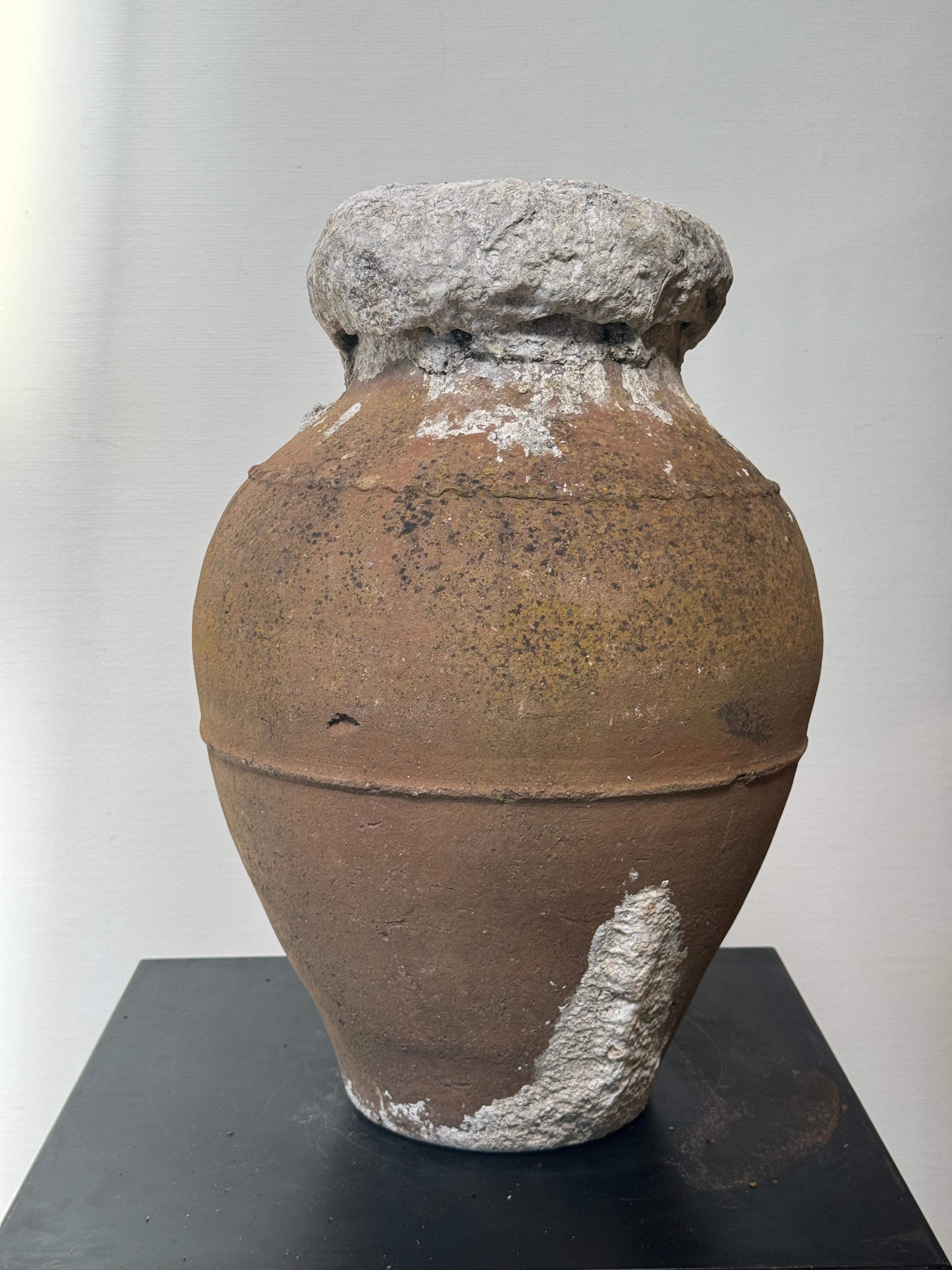 Antique Mediterranean Amphora-Style Storage Pot with Calcified Patina For Sale 5