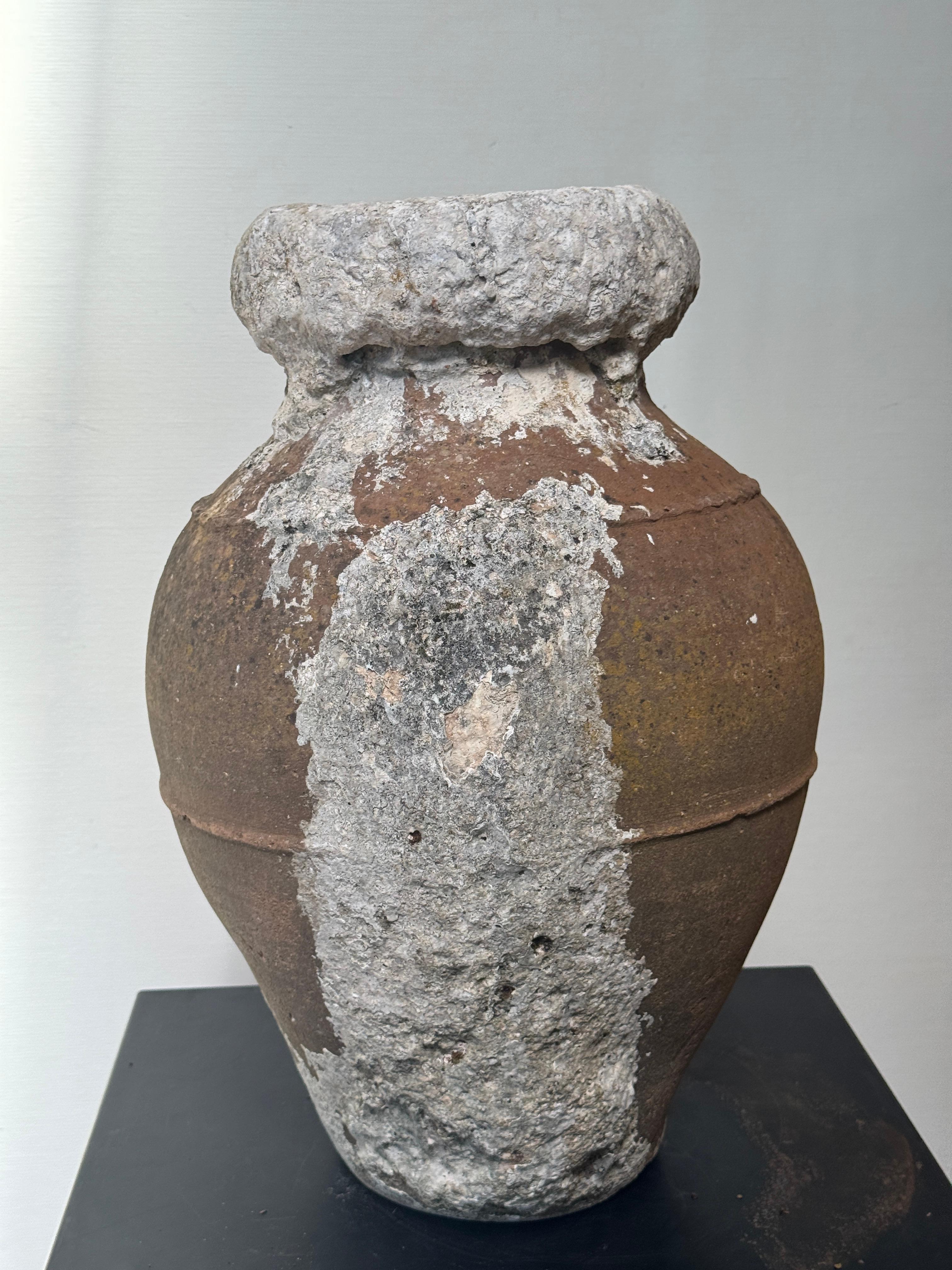 Antique Mediterranean Amphora-Style Storage Pot with Calcified Patina For Sale 2