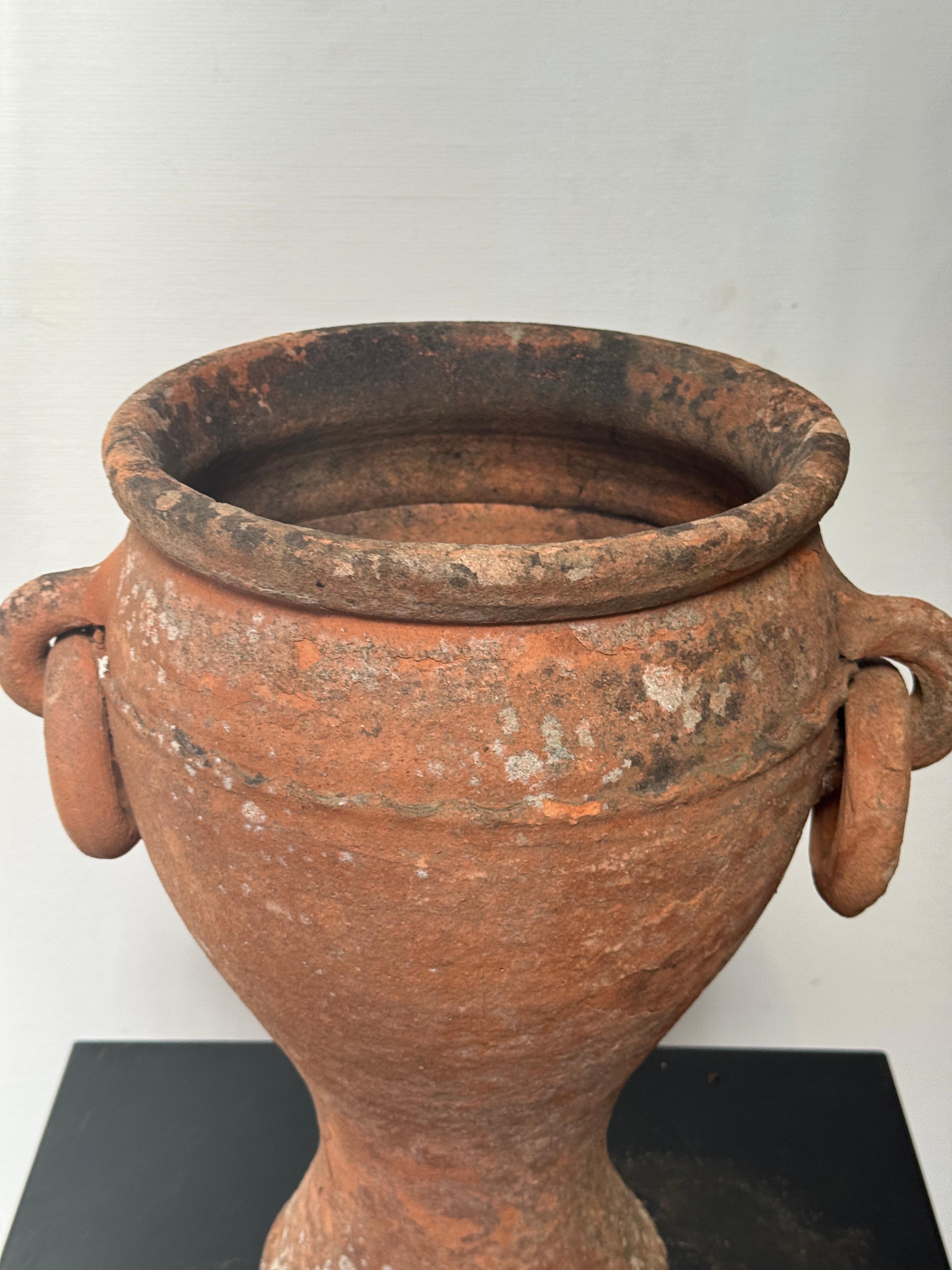 This striking antique terracotta amphora planter is a timeless embodiment of Mediterranean craftsmanship and rustic elegance. Skillfully hand-thrown and aged to perfection, this vessel showcases the warm, earthy tones characteristic of natural