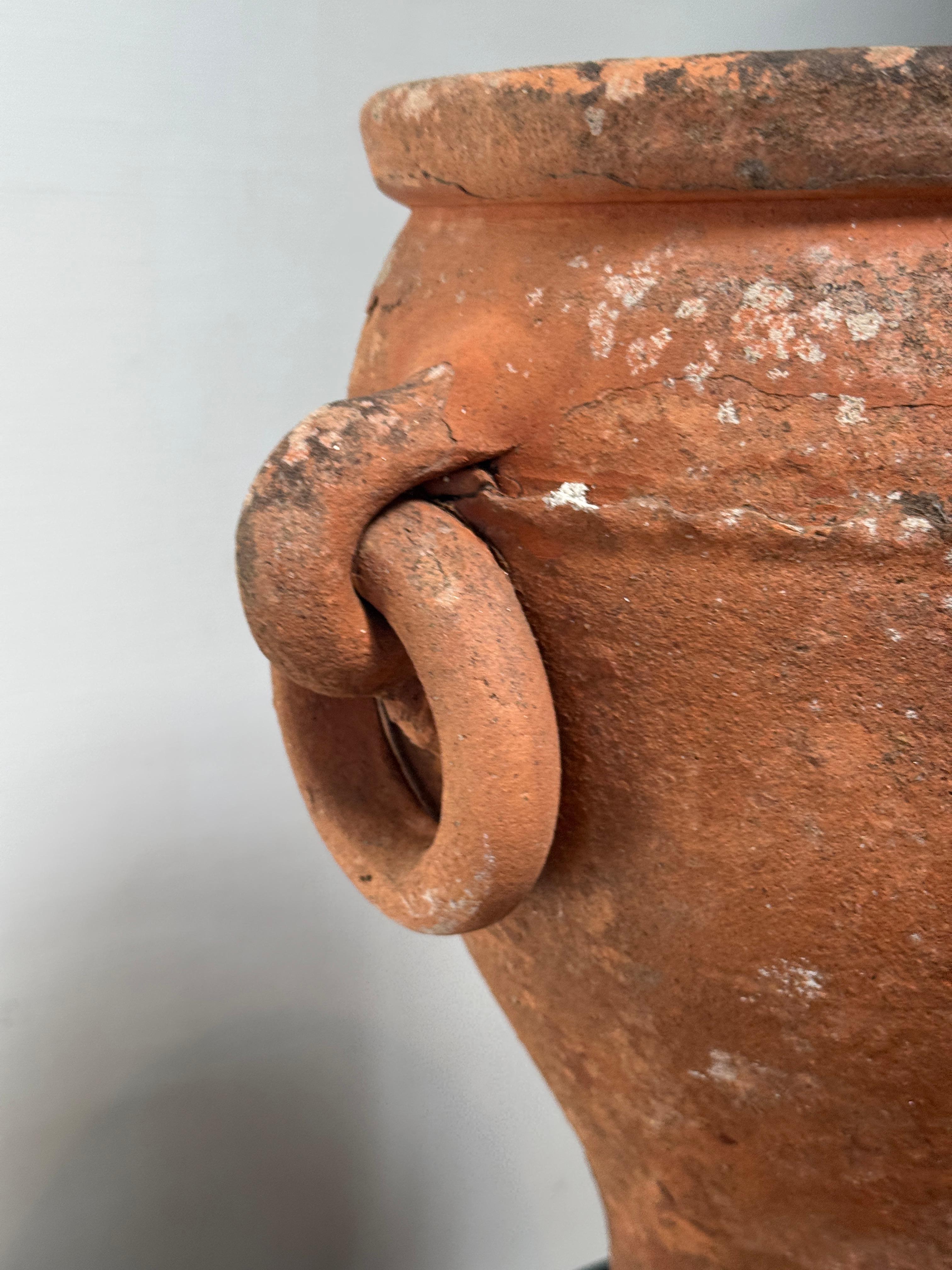 Rustic Antique Mediterranean Terracotta Amphora Planter with Double Loop Handles For Sale