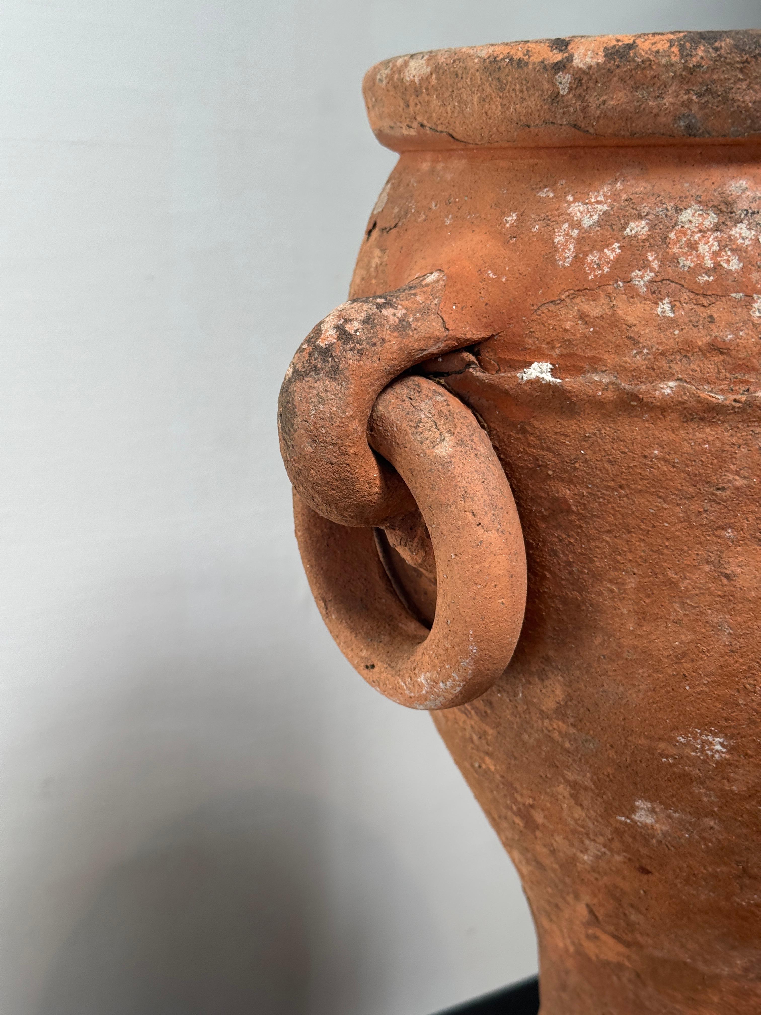 Antique Mediterranean Terracotta Amphora Planter with Double Loop Handles For Sale 2