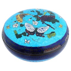 Antiguo estuche Kogo japonés Meiji con esmalte de cloisonné y diseño de mariposa