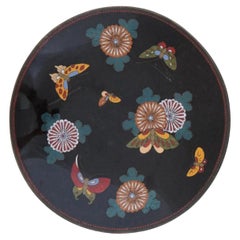 Antique Meiji Japanese Cloisonne Enamel Butterfly Plate