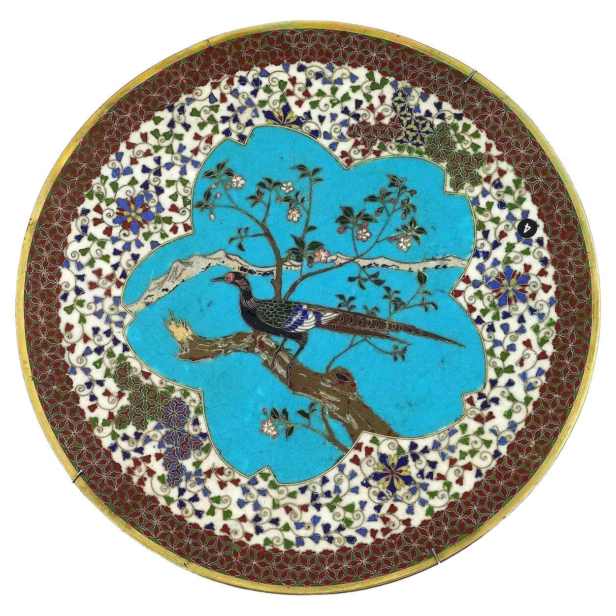 Antiguo plato japonés Meiji de esmalte cloisonné que representa un faisán sobre un árbol