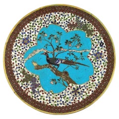 Ancienne assiette japonaise en émail cloisonné de style Meiji représentant un faisan sur un arbre