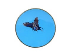 Antiquité Meiji Japanese Cloisonne Goldstone Spotted Butterfly Plate Charger