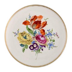 Antique Meissen Plate in Hand-Painted Porcelain with Floral Motifs, 19th/20th C