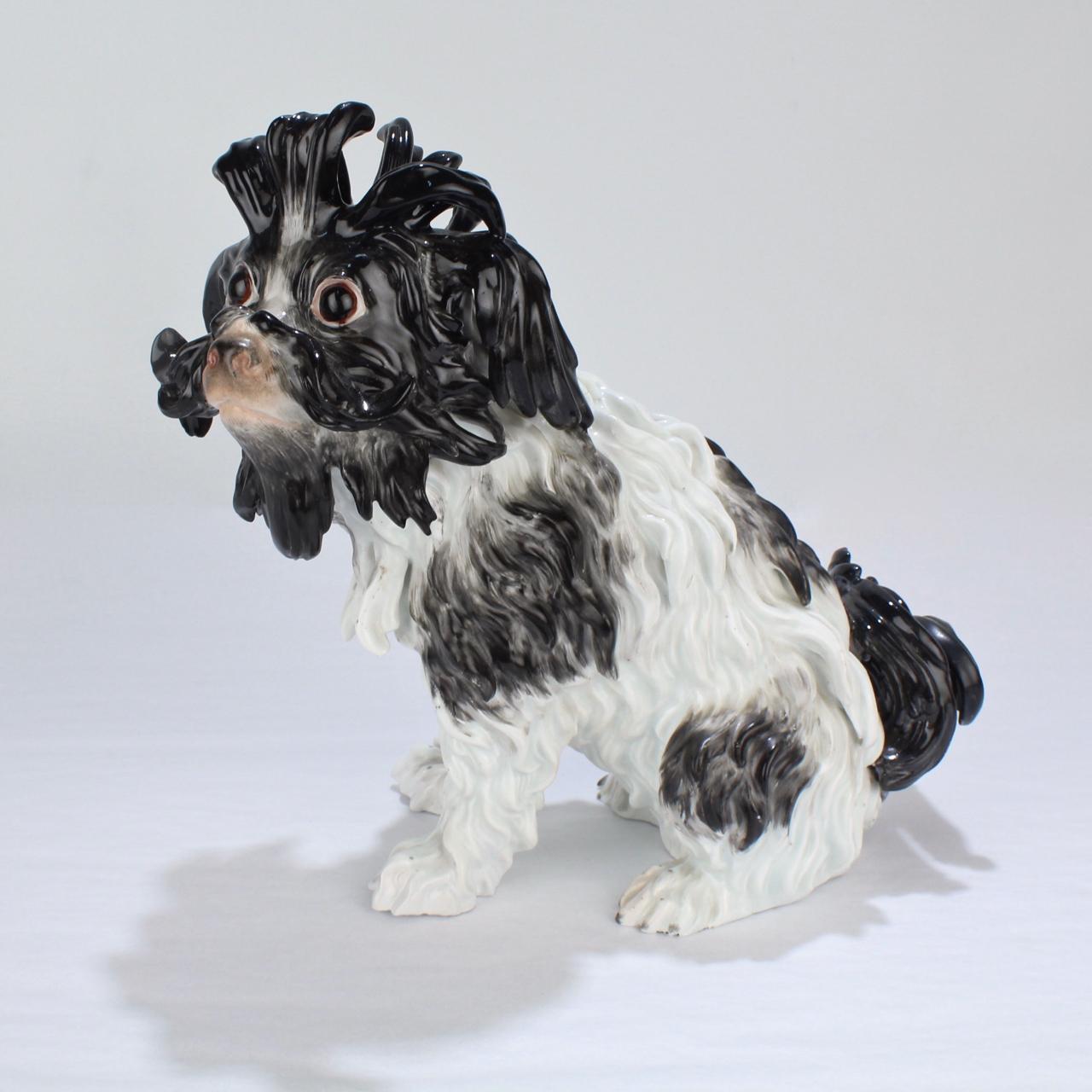 A good, antique Meissen porcelain figurine of a Bolognese dog. 

The Bolognese is a much loved breed of the Bichon group cultivated by Italian aristocracy perhaps as much as a millennia ago.

This figure is modeled after the J.J. Kaendler design
