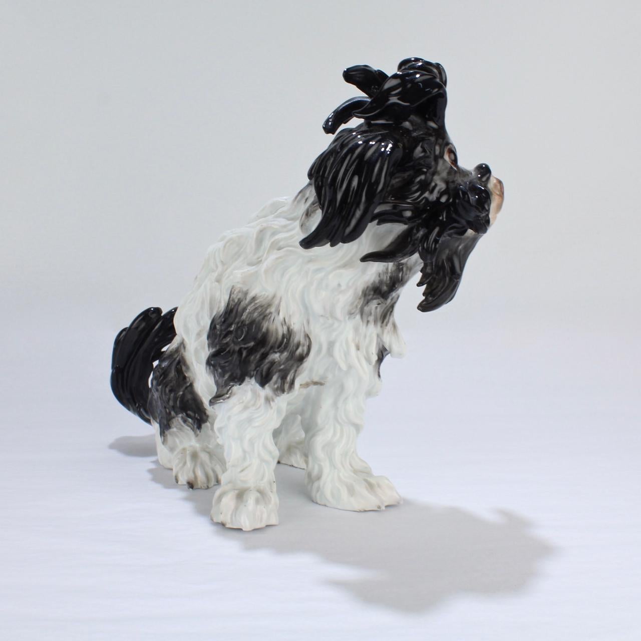 19th Century Antique Meissen Porcelain Bolognese Dog Figurine