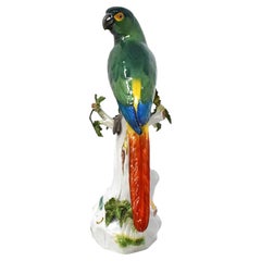 Antique Meissen Porcelain Figurine of Perched Parrot