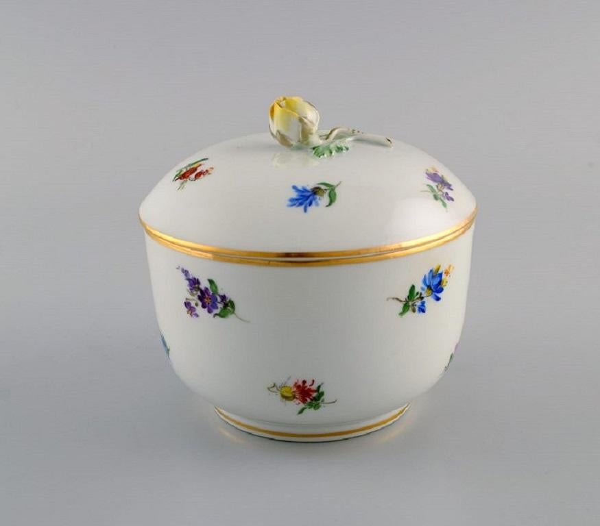German Antique Meissen Porcelain Lidded Bowl with Hand-Painted Flowers, Ca. 1900 For Sale