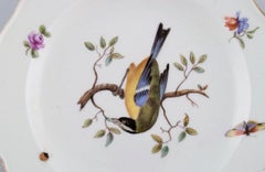 Antique Meissen Porcelain Plate with Hand-Painted Flowers and Bird