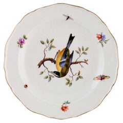 Antique Meissen Porcelain Plate with Hand-Painted Flowers and Bird