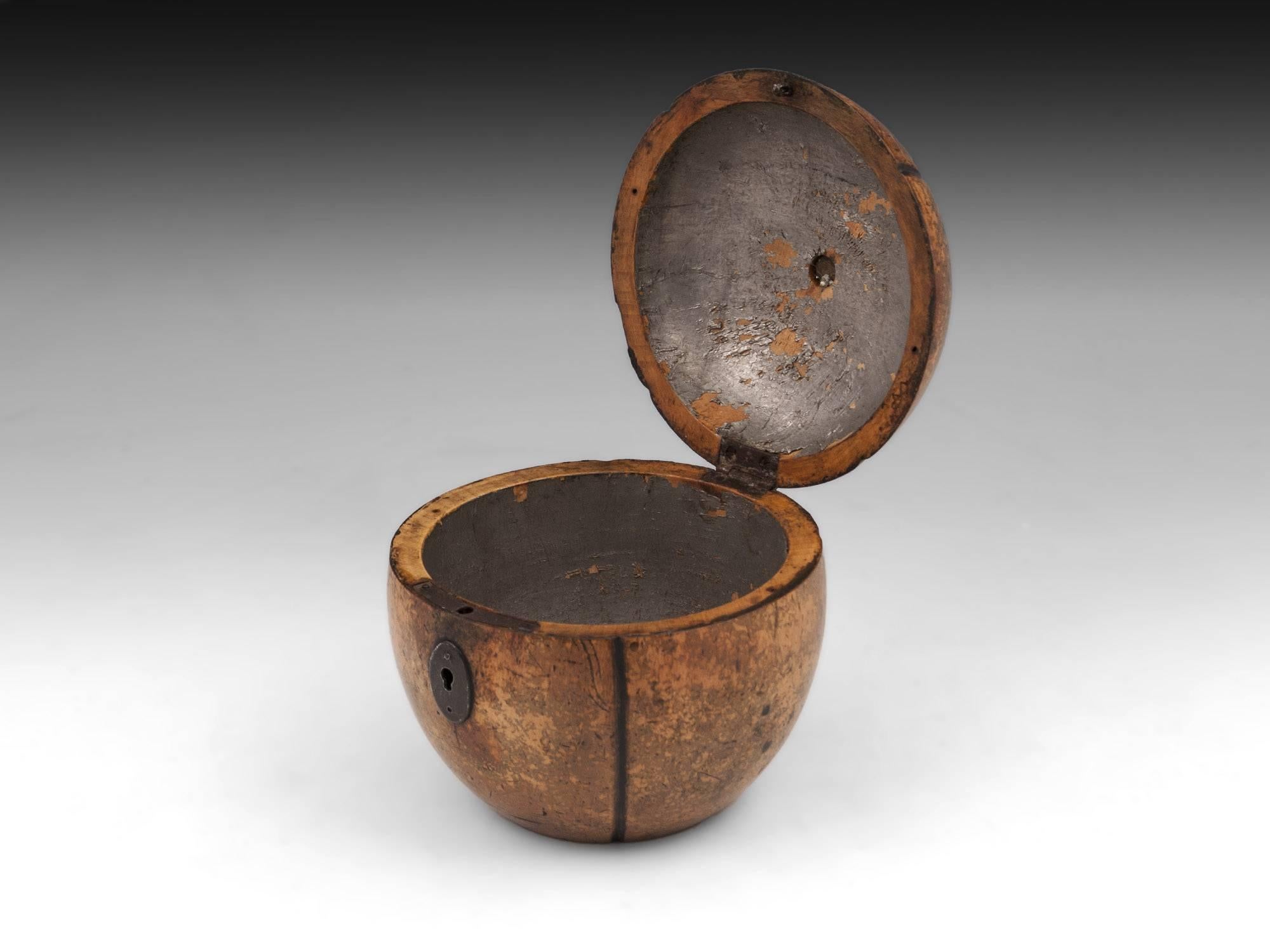 Antique Melon Fruitwood Tea Caddy, 19th Century In Good Condition In Northampton, United Kingdom