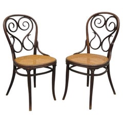 Ancienne paire de chaises de salle à manger de café Daum en bentwood et canne, Michael Thonet #4