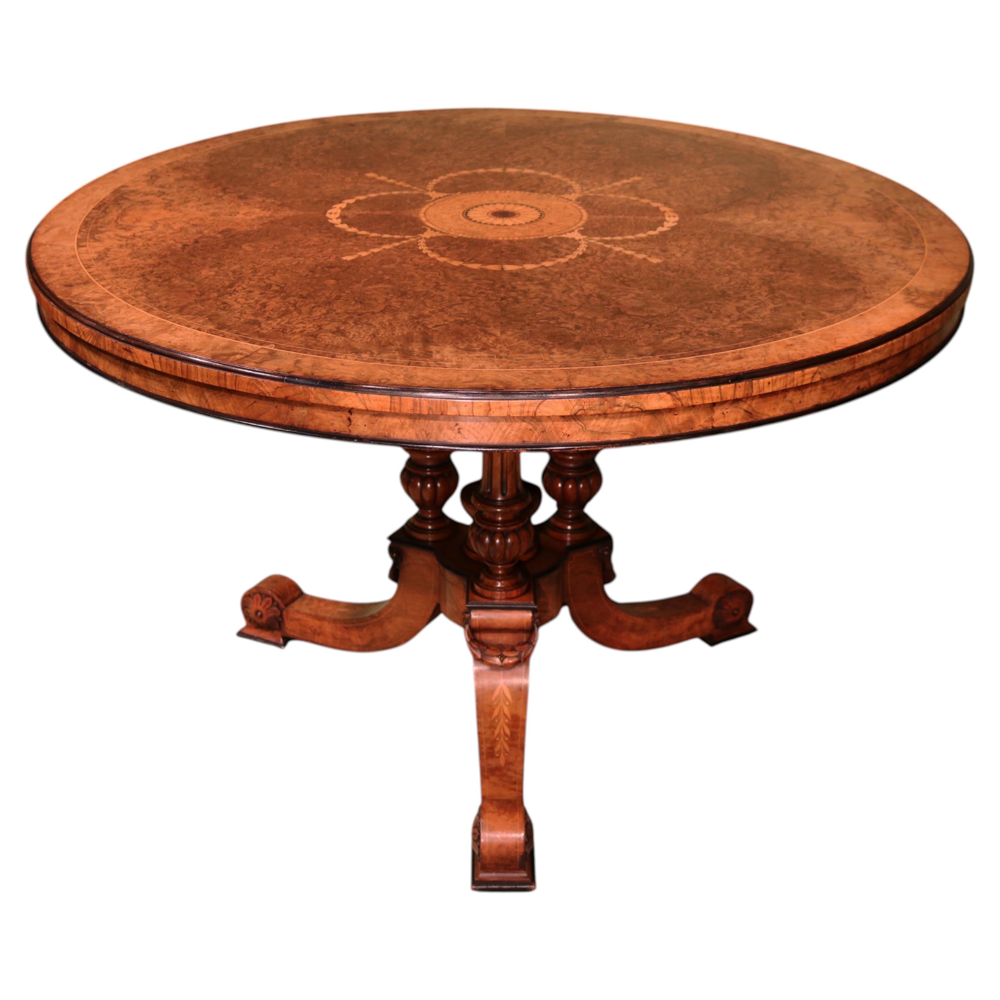 Table basse ancienne en ronce de noyer, datant du milieu du XIXe siècle en vente