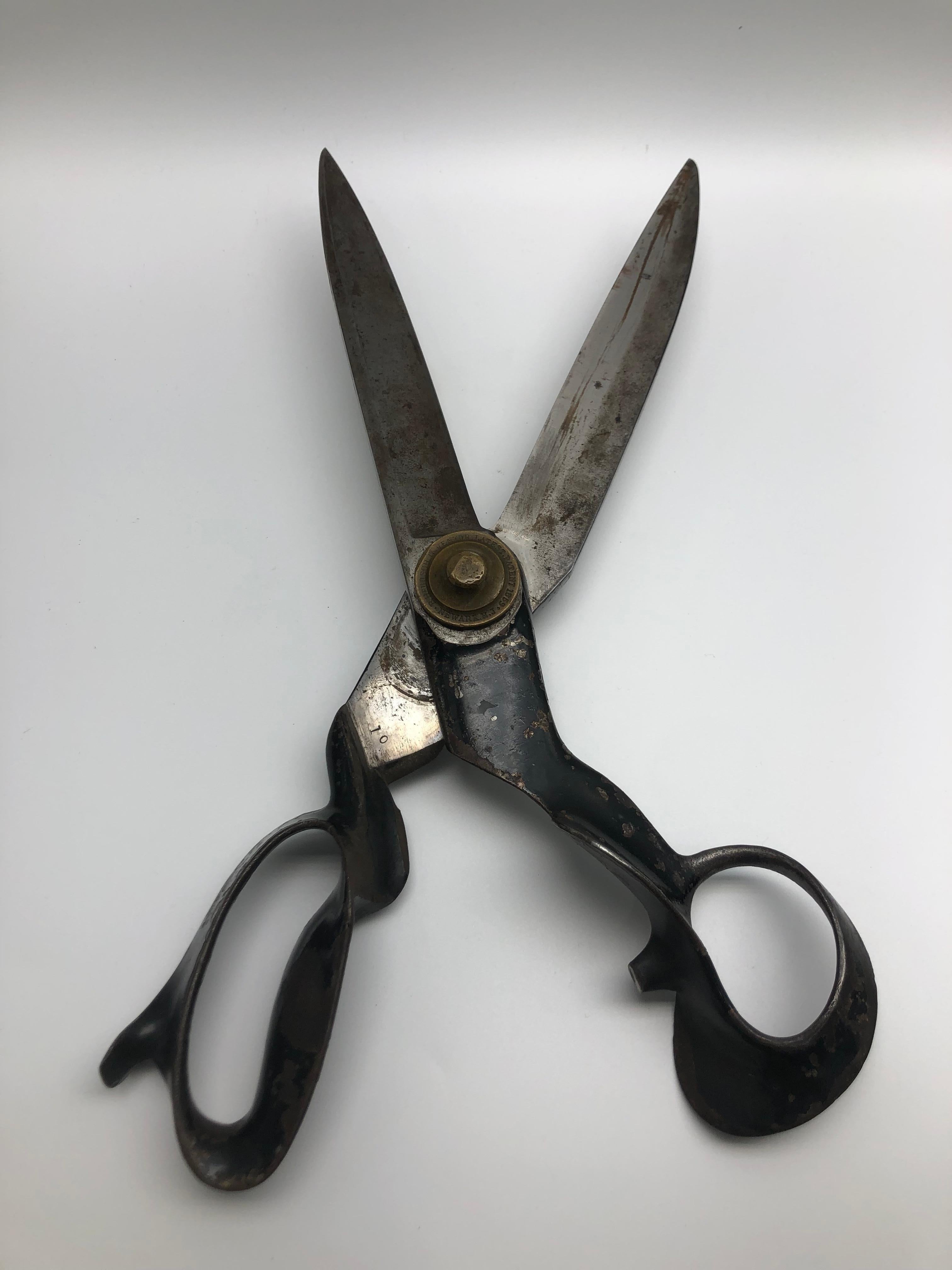 Metal Antique Mid 19th Century R. Heinisch Furrier Shears, Scissors 1859