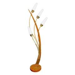 Antique mid century floor lamp