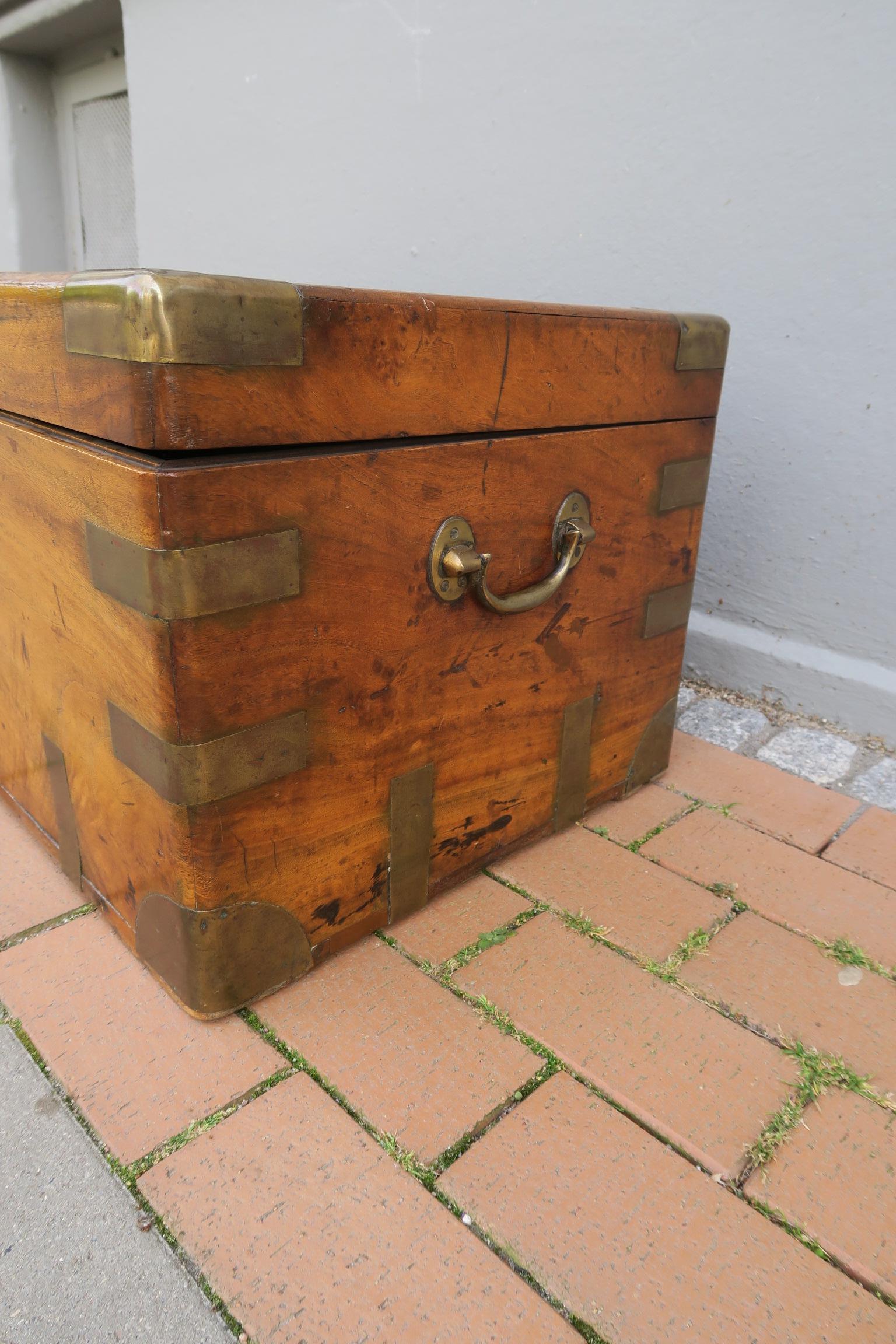 baúl militar antiguo de madera de alcanfor maciza de mediados de la época victoriana en venta 8