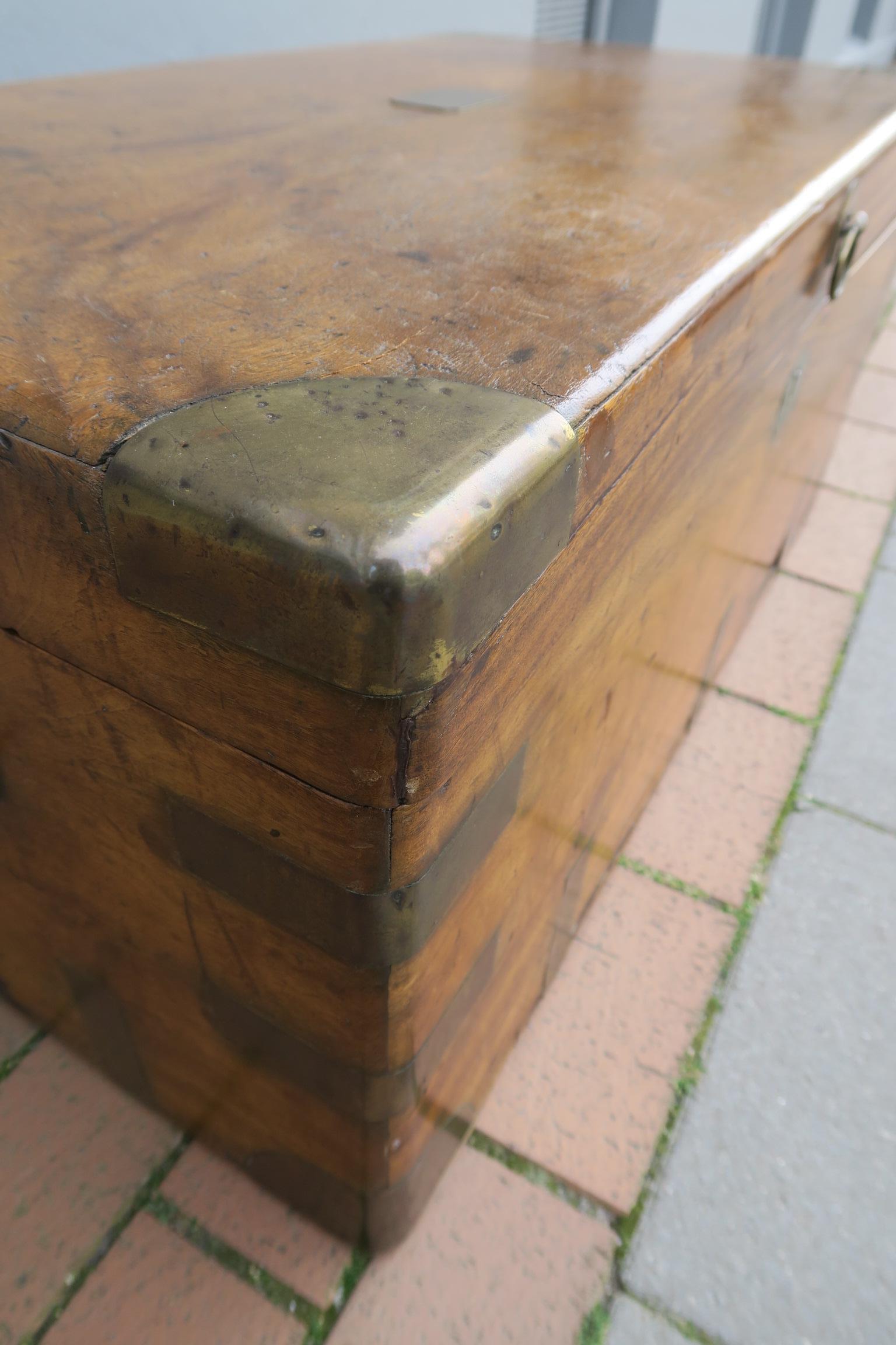 baúl militar antiguo de madera de alcanfor maciza de mediados de la época victoriana en Bastante bueno estado para la venta en Kiel, SH