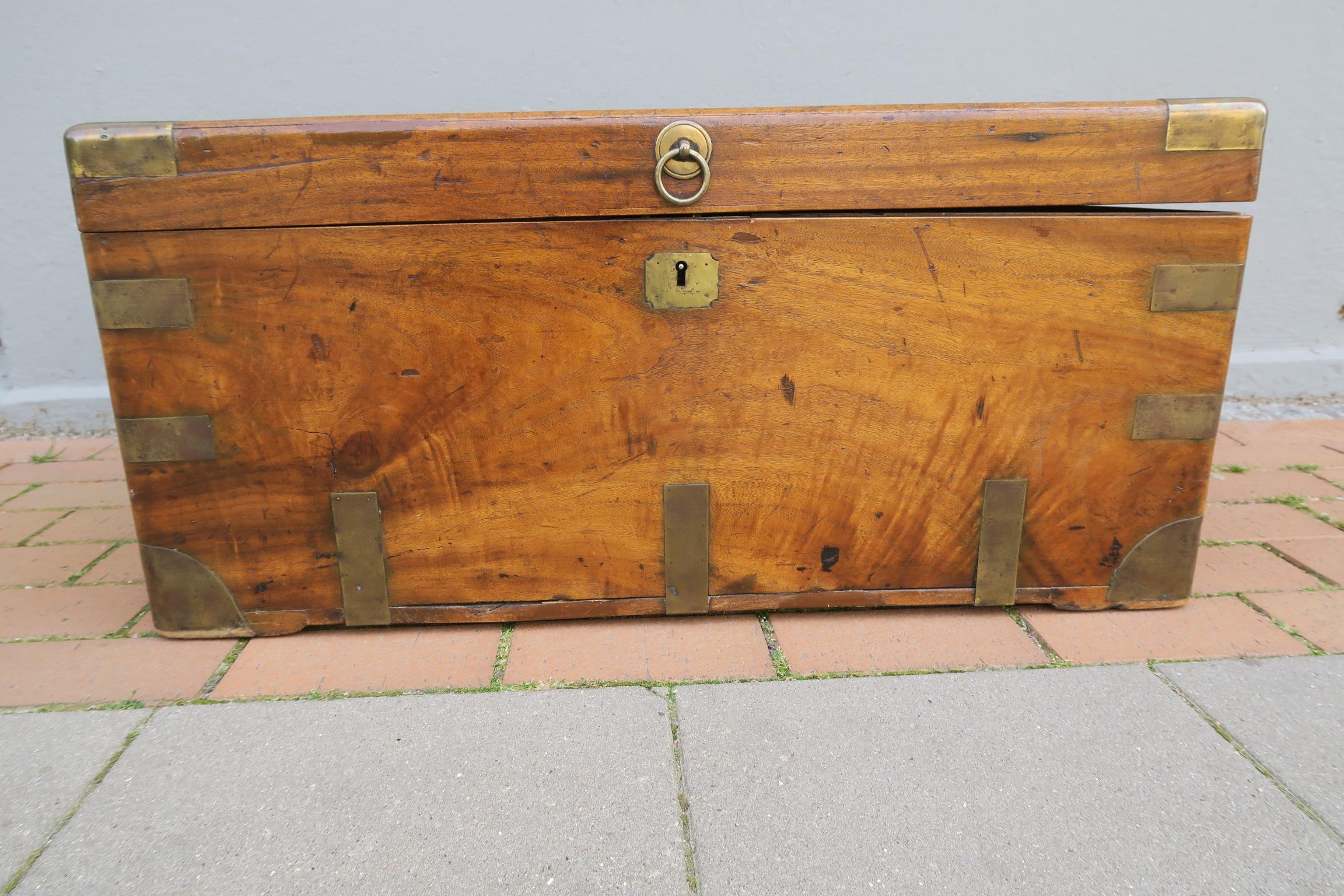 baúl militar antiguo de madera de alcanfor maciza de mediados de la época victoriana siglo XIX en venta